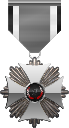 Silver level of Silver Cross of the Silver Arrows - This award is given to a member who distinguished in a number of Community Events. Silver level is the second of five.