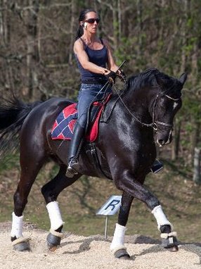 Stages de Dressage avec Pia MUNCK... 12_lis10