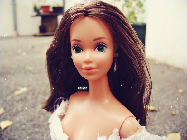 Mes Barbie ^^ Dsc02813