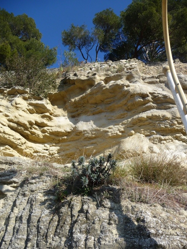 Nature hivernale en Provence - Page 2 P1160137