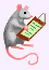 Articles sur les rats