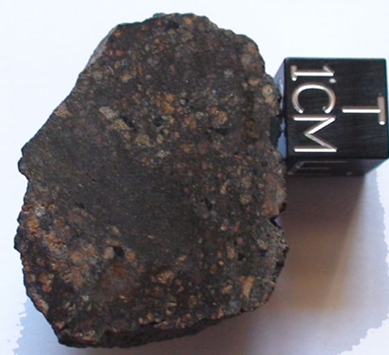 Petite météorite omanaise Dag31910
