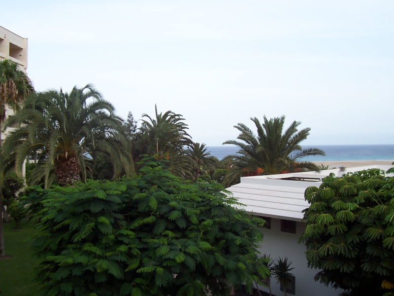 Canary Islands, Fuerteventura, Costa Carma, Melia Gorriones Hotel Fuerte28