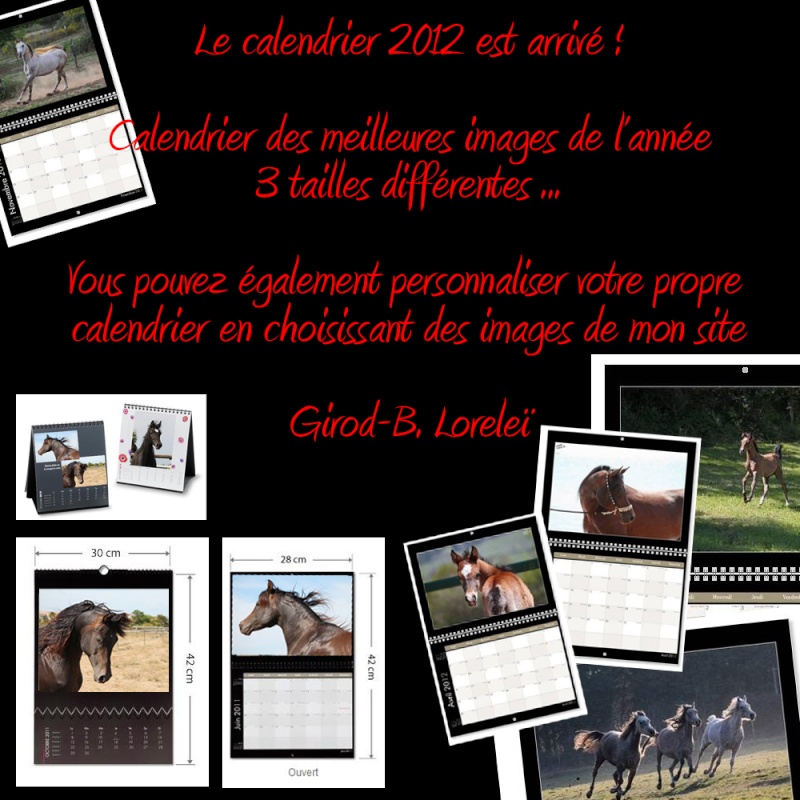 Calendriers 2012 en image ! Calend11