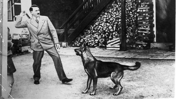 Les chiens d'Hitler 18514110