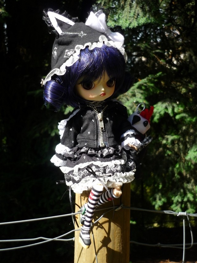 Mes 22 filles (Pullips) Nermal11