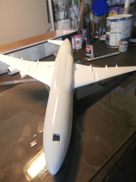 BOEING 787-800 ANA  / ZVEZDA/ 1:144 Fullsi18