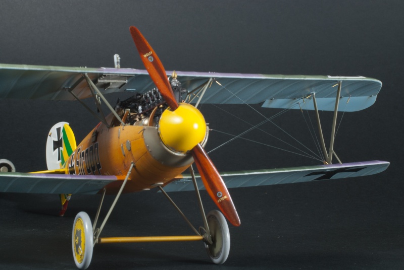 [WINGNUT WINGS] 1/32 - Albatros D.Va    (aldv) - Page 9 1217