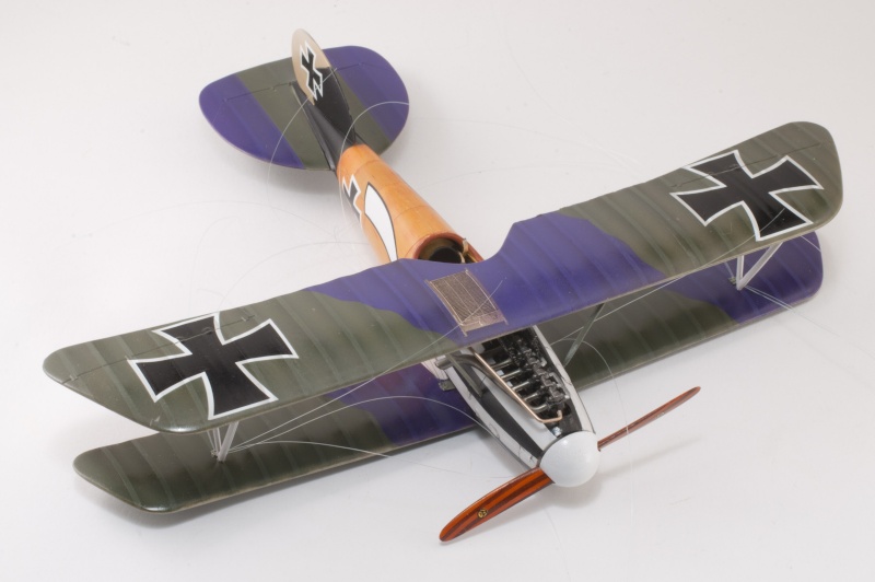 [Eduard Dual combo] 1/48 - Albatros D.V  (aldv) - Page 4 4111