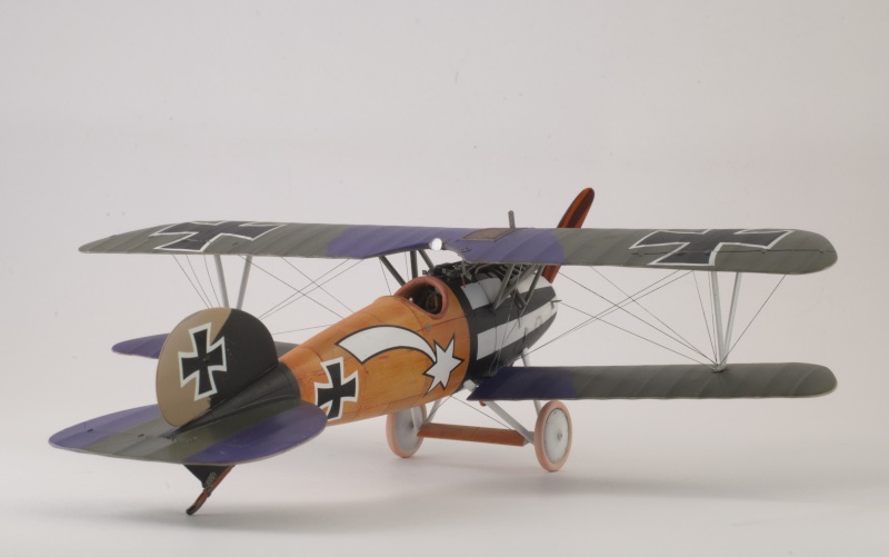 [Eduard Dual combo] 1/48 - Albatros D.V  (aldv) - Page 5 4910