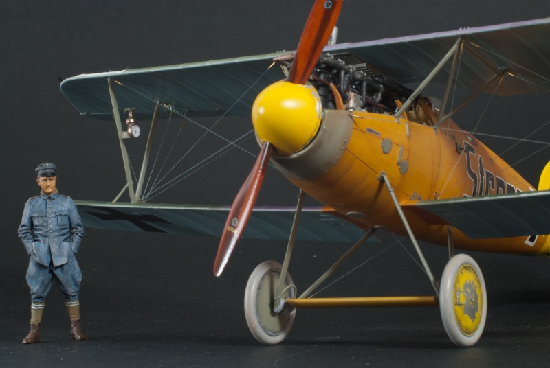 [WINGNUT WINGS] 1/32 - Albatros D.Va    (aldv) - Page 10 Albatr12