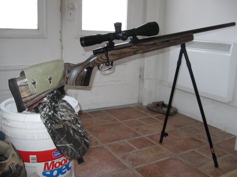 trigger rifle basic, cz550 Img_0315