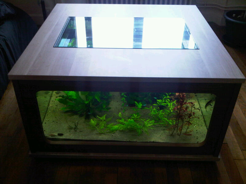 Table basse aquarium Img00017