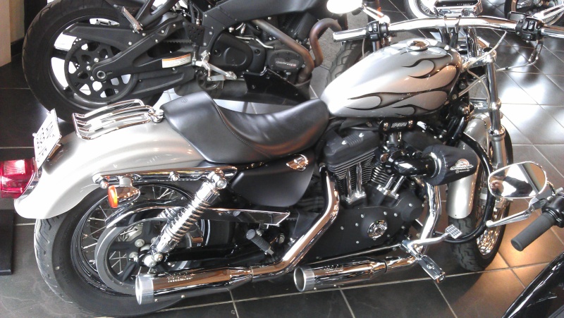 combien sommes nous en 1200 Sportster sur Passion-Harley - Page 18 Imag0020