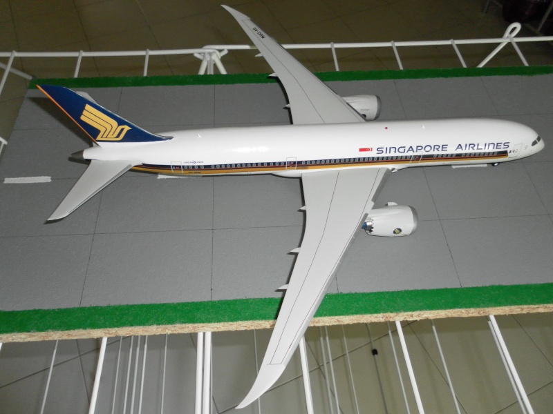 B 787-8 zveda devenu 787-9 1/144 décals fdecal "Singapore airlines" Sam_0015