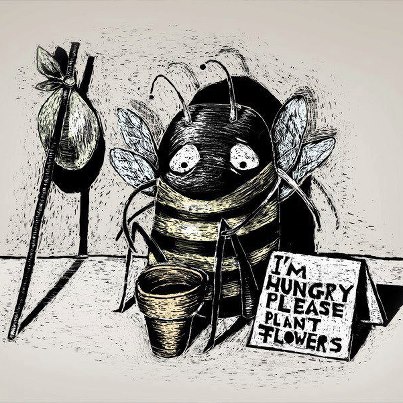 les abeilles 53460310