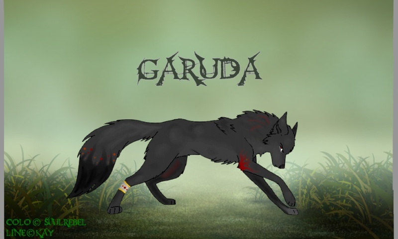 Garuda, roi des Tentations Garuda10