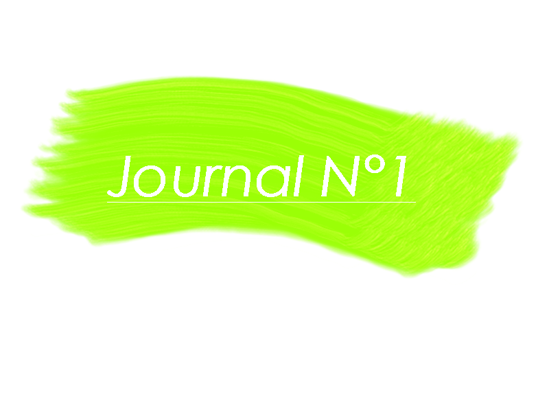 Journal N°1 Journa10