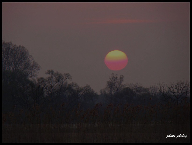 Soleil du matin serein Dsc03811