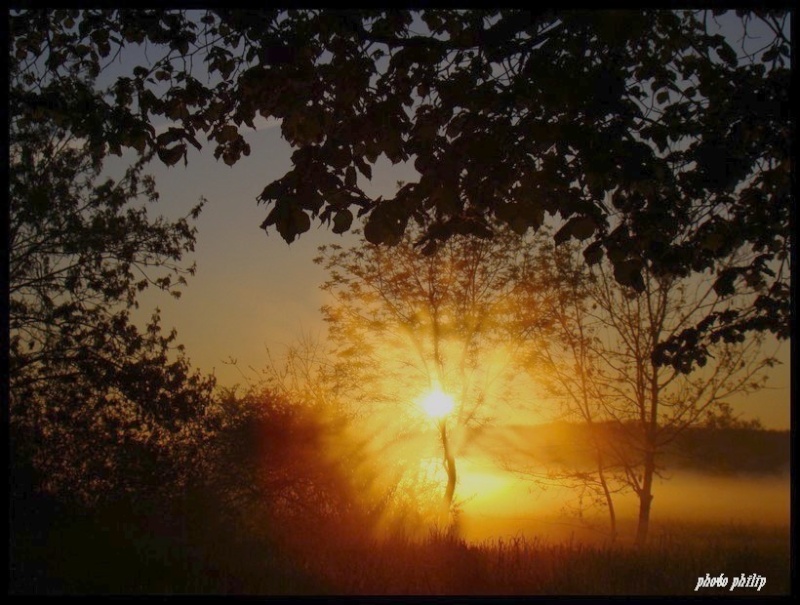 Brouillard  matinal Dsc04013