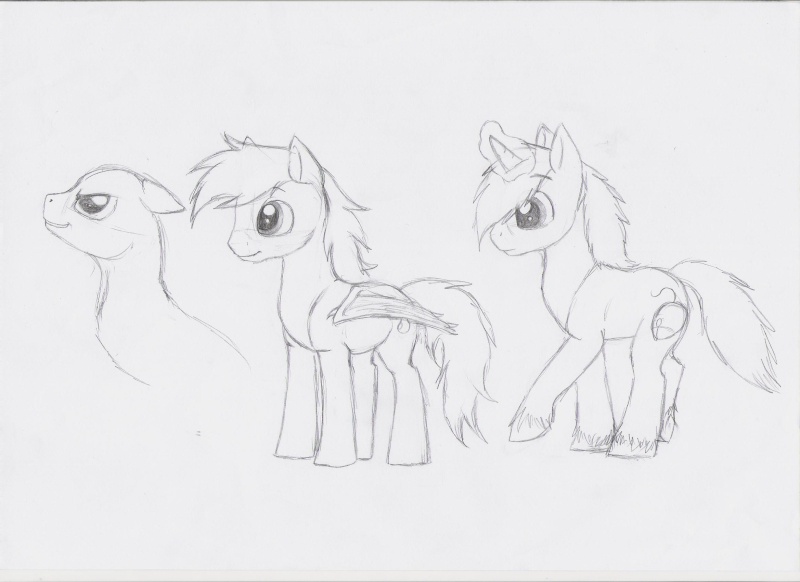 Mes Poneys =D - Page 3 Peuney10