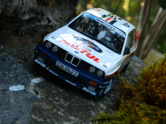 [ Beemax ] BMW M3 Tour de Corse 1987 1/24 Dscn7908