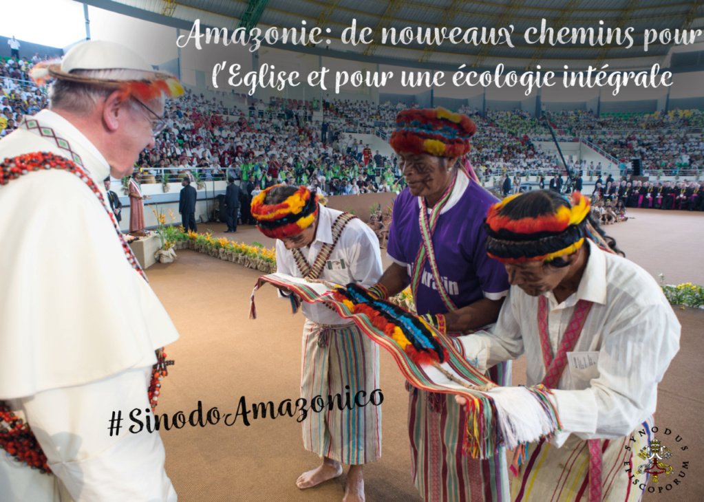 VERSION INTÉGRALE : Le document préparatoire pour le Synode d'Amazonie ! 15489210