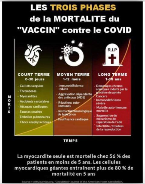 LES VACCINS COVID - Des millions d'effets secondaires - Page 2 25979010