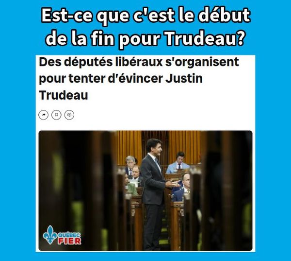 Vidéo-Analyse : "Trudeau, le Dictateur Blanc" ! - Page 15 46288410