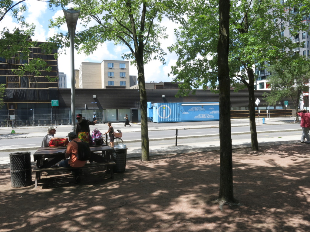 PARC ÉMILIE-GAMELIN - Montréal - Manifestation anti-masque - 18 juillet 2020 ! Img_2652