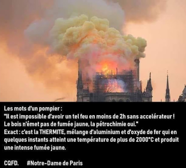 Incendie de Notre-Dame de Paris  - Page 11 Img_5510