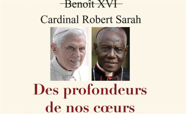 "QUERIDA AMAZONIA = CHÈRE AMAZONIE" : Benoît XVI appelle François à ne pas ordonner d'hommes mariés Sans-253