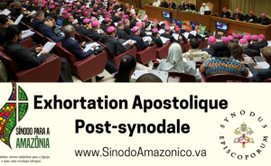 "QUERIDA AMAZONIA = CHÈRE AMAZONIE" : Benoît XVI appelle François à ne pas ordonner d'hommes mariés - Page 3 Sans-296