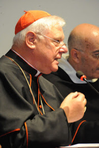 SYNODE AMAZONIEN - (SUITE D'AMORIS LAETITIA) : Nous conduira-t-il au Schisme de l'Église Catholique? - Page 15 Sans-298
