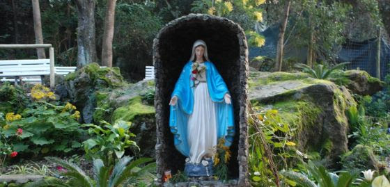 Notre-Dame de Zaro : "L'Église a besoin de Prêtres" ! Unnam649