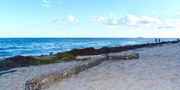 Une mystérieuse Croix de bois sur une plage de Floride Web-cr10