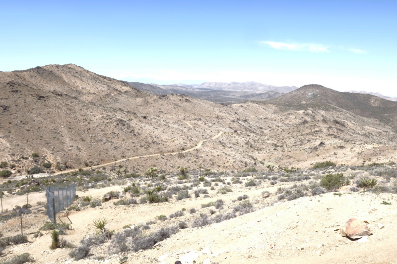 Le désert de Mojave Dsc04511