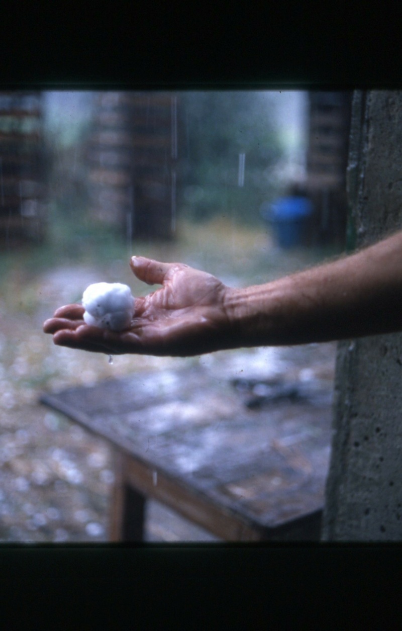 Orage? Img16510