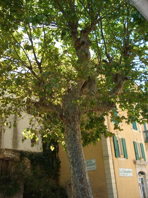 Bonne Lundi Dsc04318