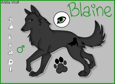Blaine + Violence  Blaine10