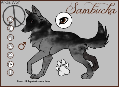 Pixie + Sambucka  Sambuc10