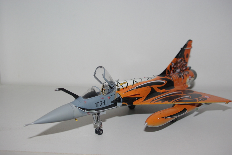 Mirage 2000C 1/48 Tigermeet 2010 Imgp2910
