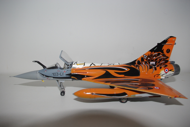 Mirage 2000C 1/48 Tigermeet 2010 Imgp2912