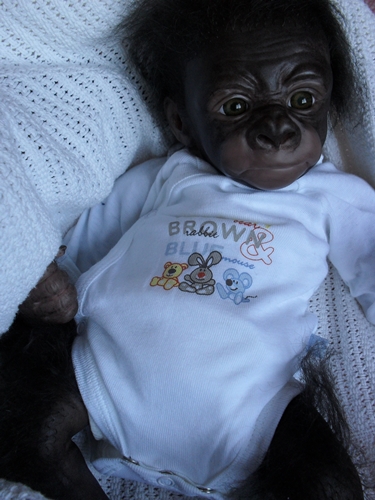 Kleines Gorilla-baby Kiwi Sdc15822