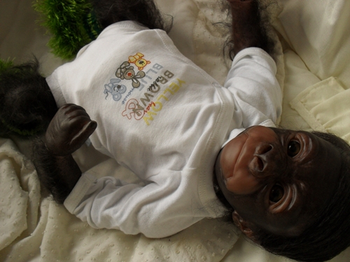 Kleines Gorilla-baby Kiwi Sdc15823