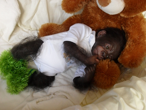 Kleines Gorilla-baby Kiwi Sdc15826