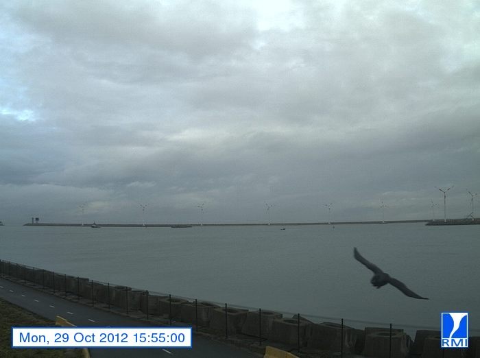 Photos en direct du port de Zeebrugge (webcam) - Page 55 Untitl40