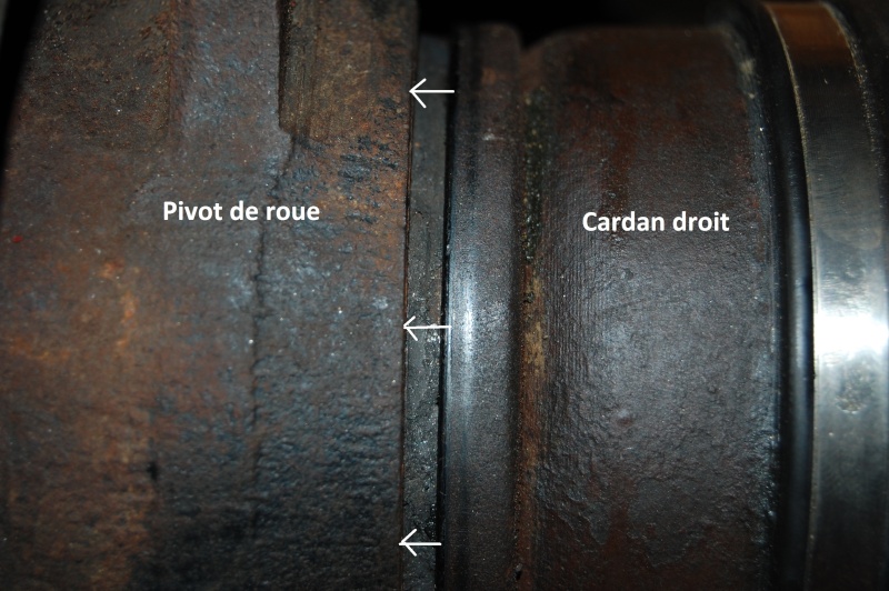 Conseils : cardans, moyeux, roulements, disques etc. - Page 10 Dsc_0147