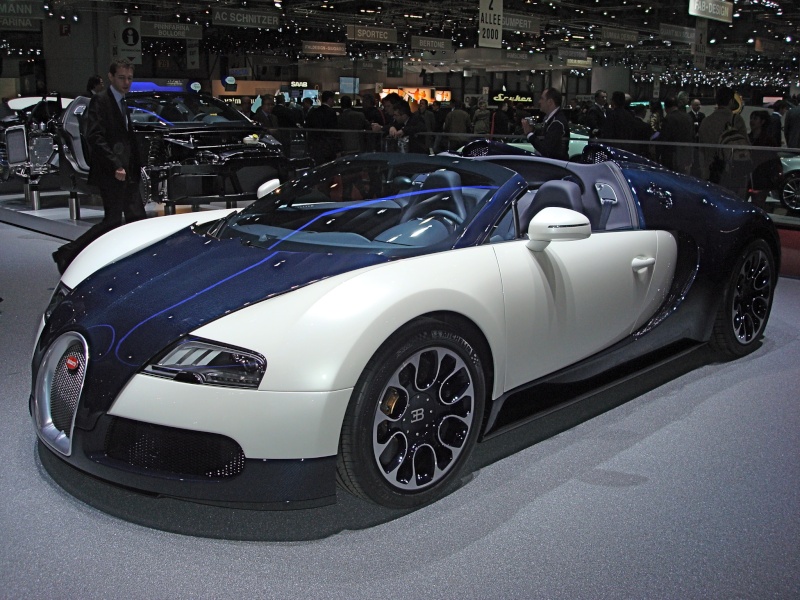 [1/18 de série] Bugatti Veyron B&W - AutoArt Signature Profil10