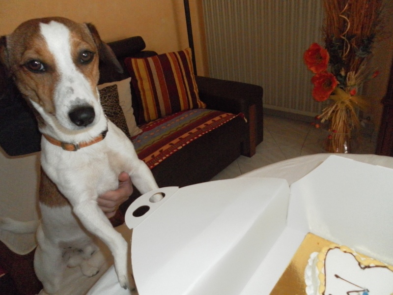 MILO ....compie 1 anno!!!!! Sam_4011